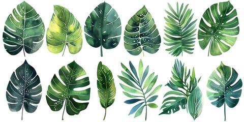 Watercolor Tropical Floral and Foliage Illustration Set - Exotic Leaves and Flowers