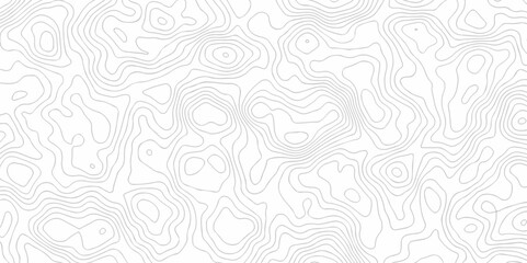 White wave paper curved reliefs abstract background. The topographic map contour in lines isolated. Abstract white topographic map background with lines. Background of the topography map.