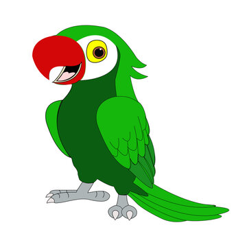 Colorful macaw parrot. cartoon styal.green macaw vector image.