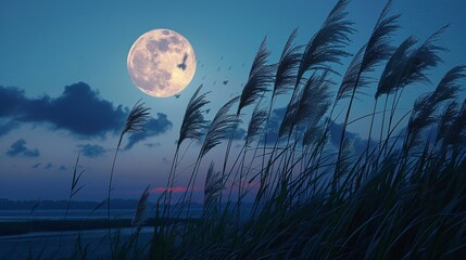 Fototapeta premium moon over the lake