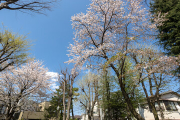 砧八丁目児童遊園（東京都世田谷区砧８丁目・2020年撮影）