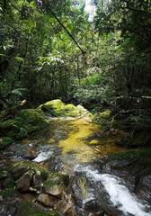 a stream with a yellow stream running through it