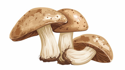 Edible Mushroom On White Background Flat vector isola - obrazy, fototapety, plakaty