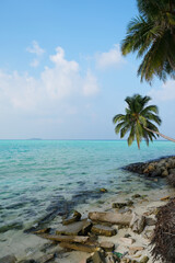 Mathiveri is one of the westernmost islands in the Maldives, beautiful beach scene with coconut trees.