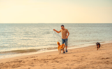 Dog walking on the beach with owner. dog, pet, family concept.