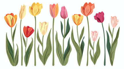 Hand drawn tulips Flat vector isolated on white background