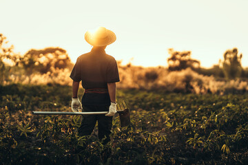 A cassava farmer holds a hoe and stands in the middle of his field during sunset.