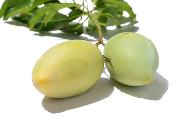   Bunch of mango 3
