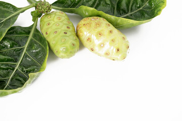  Noni 8