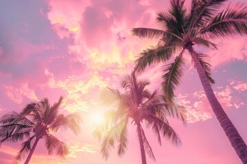 Fototapeta na wymiar The pink sky and palm trees