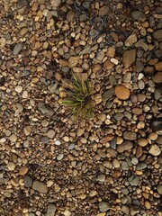 abstract Textured background with round pebble stones. Vacation holiday recreation on beach concept. High quality photo. Fragment with a texture of rock. surface  stone wall with cracks.