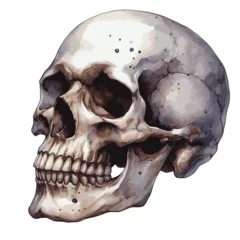 Photo sur Plexiglas Crâne aquarelle Skull watercolor Artwork, Watercolor Skull ,Skeleton Painting illustration on white background