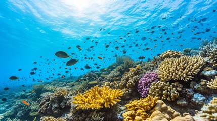 Fototapeta na wymiar Underwater Marvel: Colorful Coral Reef and Fish in Sunlit Waters