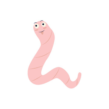 Earthworm Cartoon Character. isolated on White Background. 