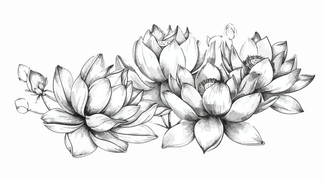 Bouquet of lotus flower hand drawn pencil sketch 