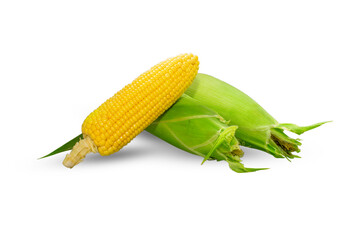 Organic sweet corn isolated on white background