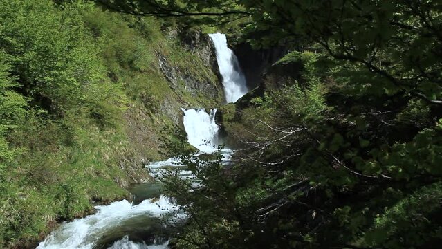 General shot of lateral camera movement from tree to waterfall and river. 'Saut deth Pish' in the Aran Valley (Catalan Pyrenees).