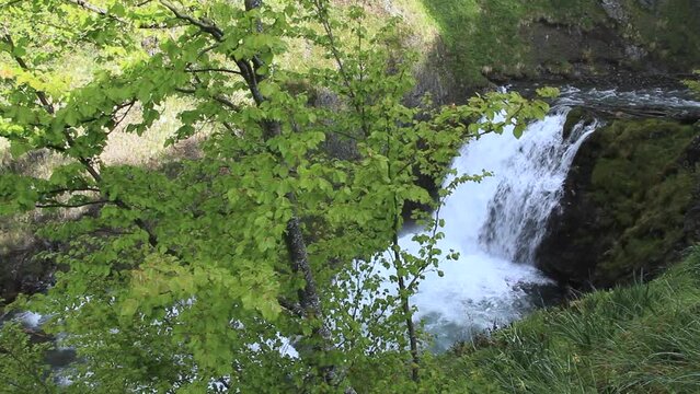 Moving camera from tree to waterfall. Saut deth Pish in the Vall d'Aran (Catalonia, Spain)