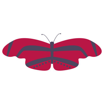 Adorable Butterfly Illustration in Flat Cartoon Design. Isolated Vector on White Background.