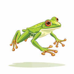 Frog jumping. Isolated frog jumping on white backgr