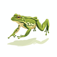 Frog jumping. Isolated frog jumping on white backgr