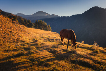 breathtaking views in Tusheti - in one of the most beautiful regions of Georgia. Autumn colors add charm and mood. - 767657620