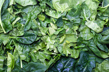 raw spinach, full frame
