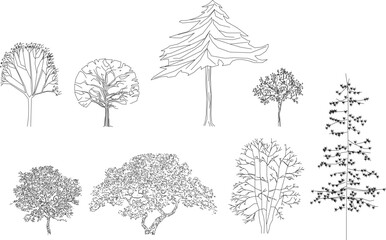Fototapeta premium Adobe Illustrator Artwork Vector illustrator design sketch of a tree plant with details for completeness of the image 