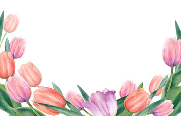 Horizontal frame of a bouquet of spring flowers, pink and peach tulips on a white background, watercolor illustration, hand-drawn botanical painting, postcard with a place for text, template, clipart.