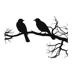 A bird sitting on top of a tree branch