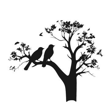 A bird sitting on top of a tree branch
