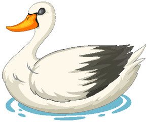 Vector illustration of a white swan floating