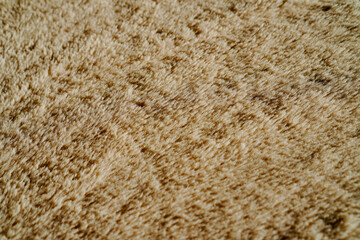 texture of a carpet