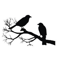 A birds sitting on top of a tree branch