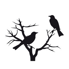 A birds sitting on top of a tree branch