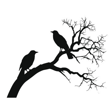 A birds sitting on top of a tree branch