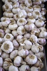 Dried garlic in a market