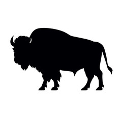 silhouette  of American bison, or buffalo