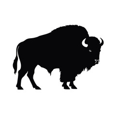 silhouette  of American bison, or buffalo