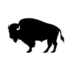 silhouette  of American bison, or buffalo