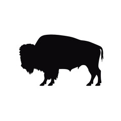 silhouette  of American bison, or buffalo