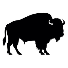 silhouette  of American bison, or buffalo