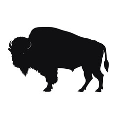 silhouette  of American bison, or buffalo