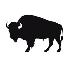 silhouette  of American bison, or buffalo