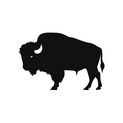 silhouette  of American bison, or buffalo