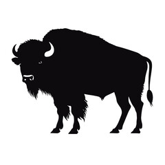 silhouette  of American bison, or buffalo