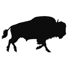 silhouette  of American bison, or buffalo