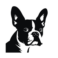 boston terrier Silhouette 