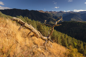 breathtaking views in Tusheti - in one of the most beautiful regions of Georgia. Autumn colors add charm and mood.