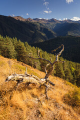 breathtaking views in Tusheti - in one of the most beautiful regions of Georgia. Autumn colors add charm and mood. - 767666848